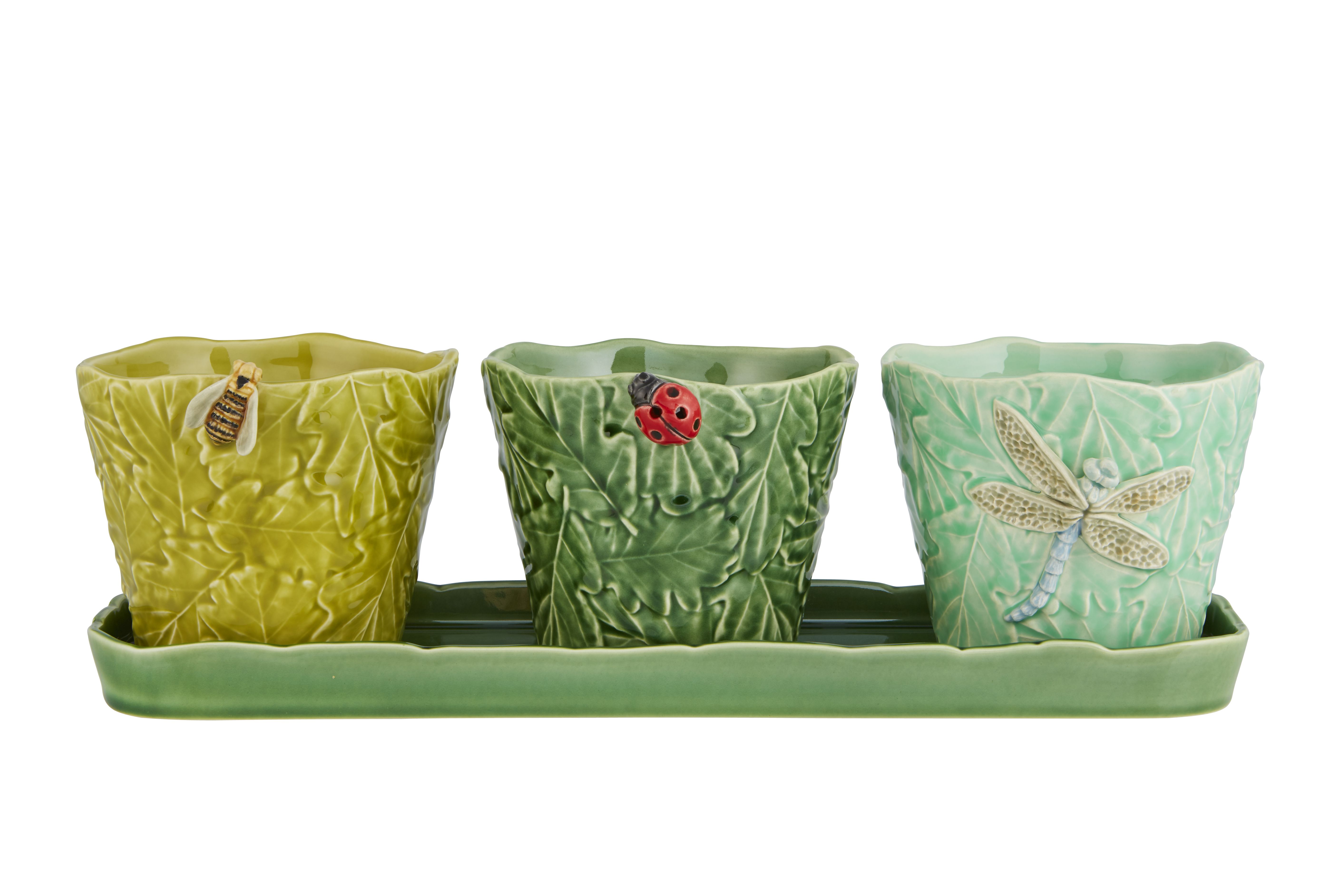Conjunto 3 Vasos Insetos Voadores
