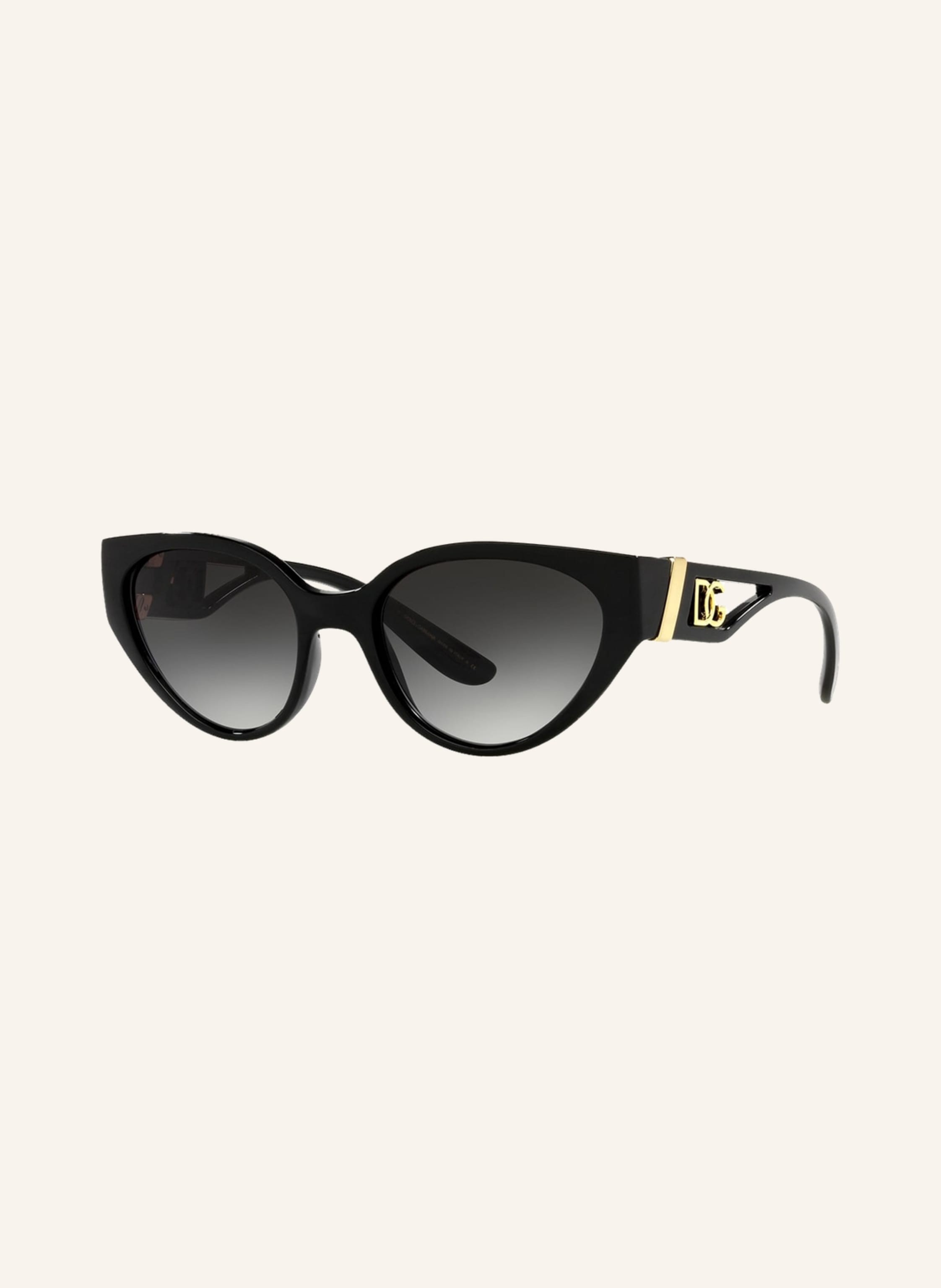 DOLCE & GABBANA Sonnenbrille DG6146