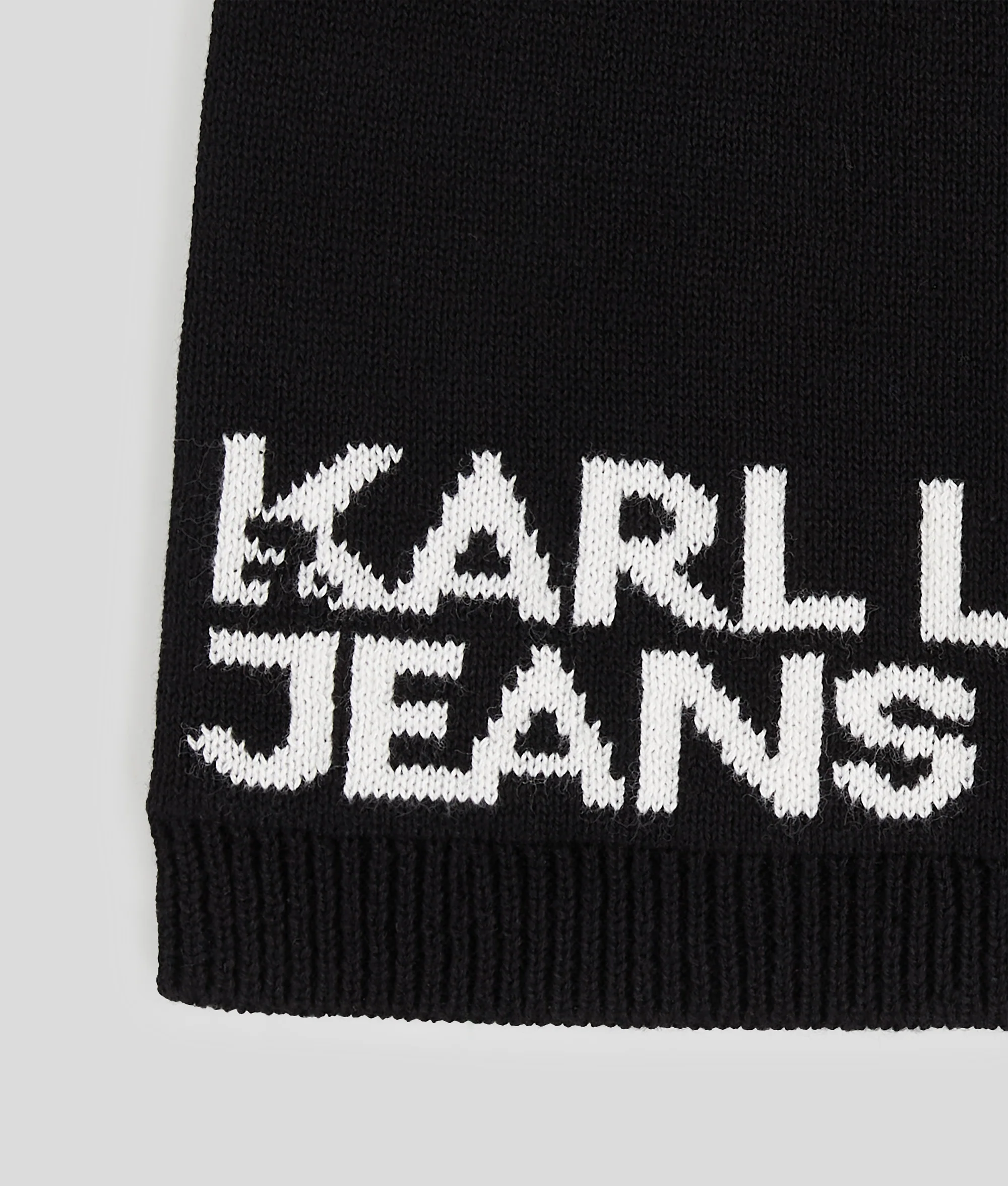 LOGO BEANIE