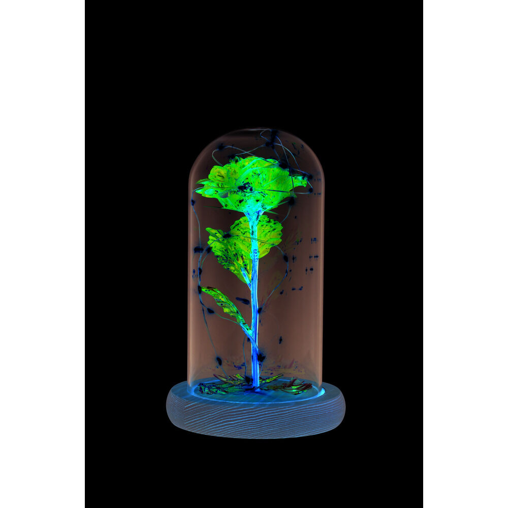 Rose sous cloche en verre avec LED Ø11,8xH19,5cm