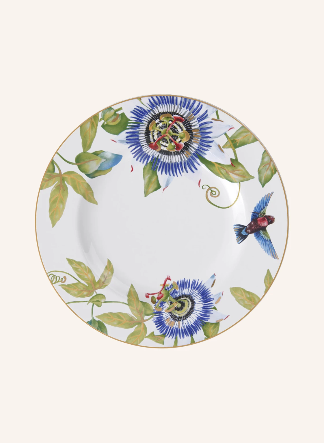 Villeroy & Boch Speiseteller AMAZONIA