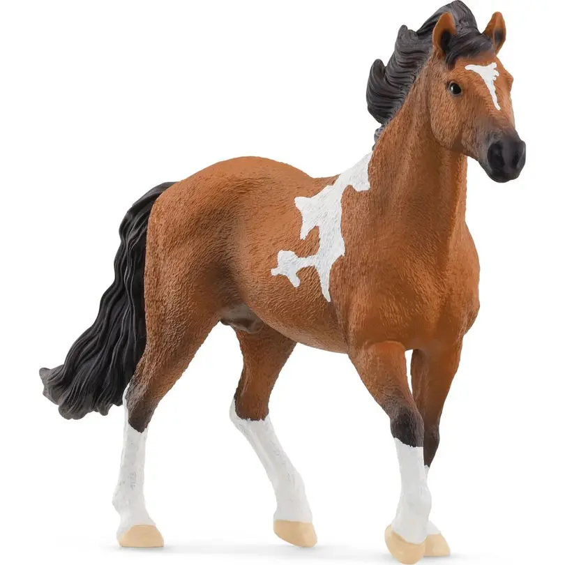 Spielset Horse Club