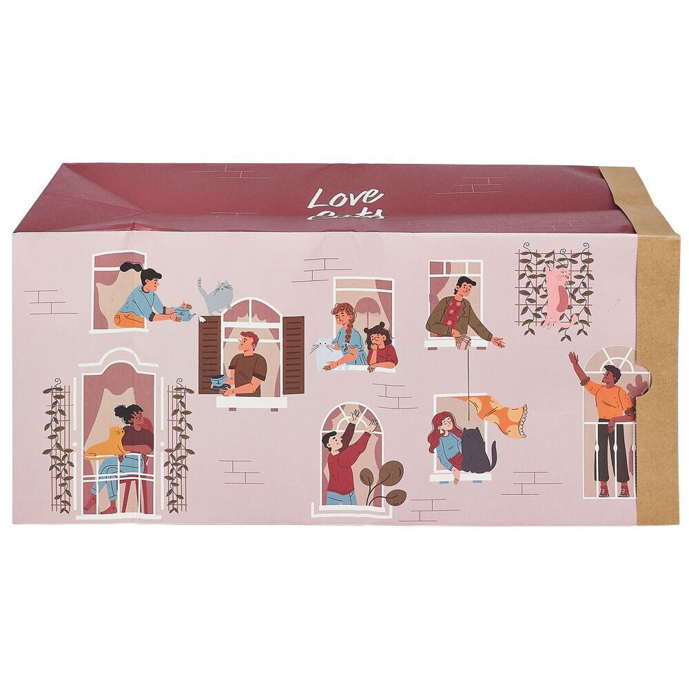 Tunnel de jeu pour chat carton motif maison 60x27xH22cm