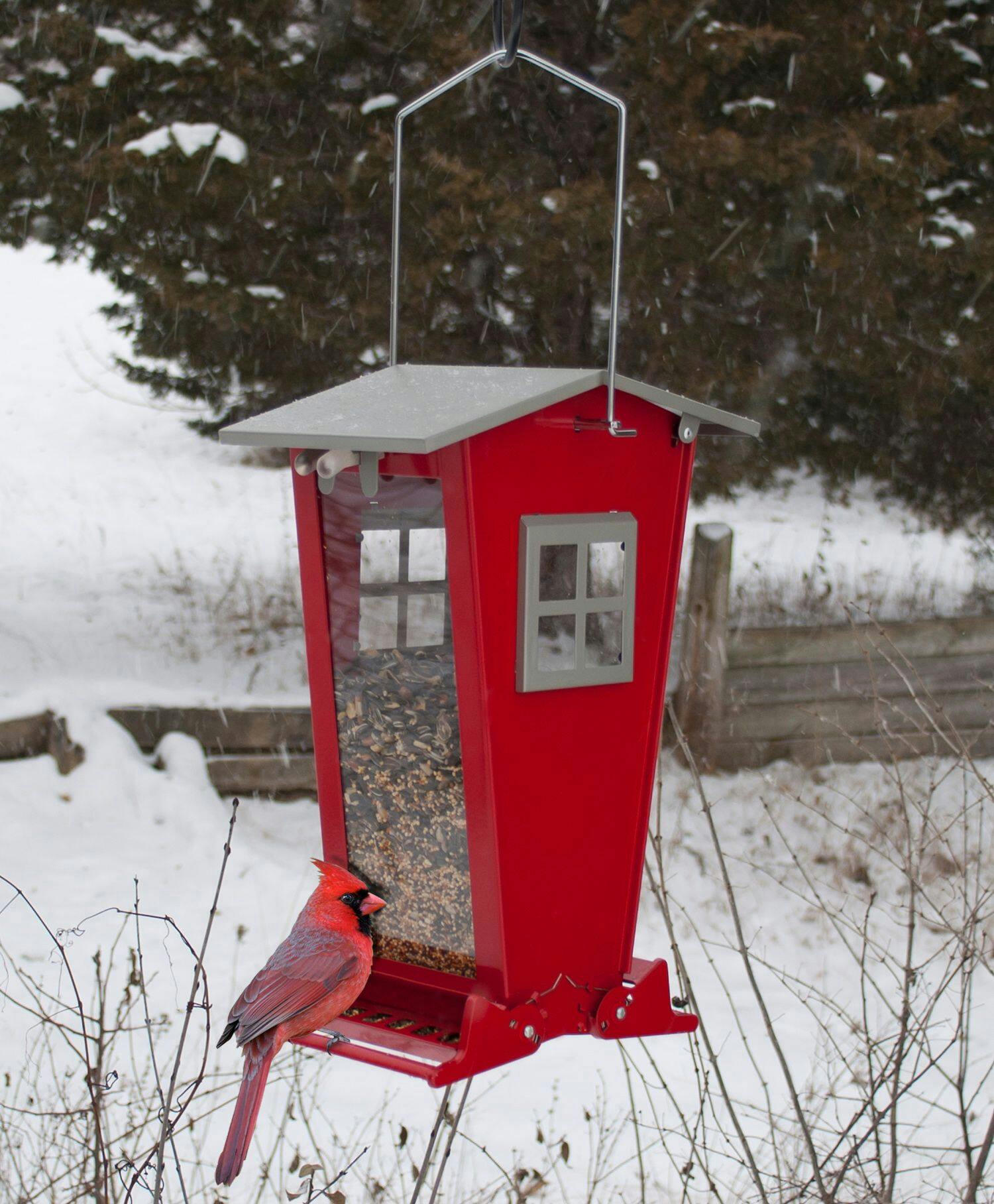 Panacea Squirrel Proof Snack Shack Bird Feeder, 7-lb