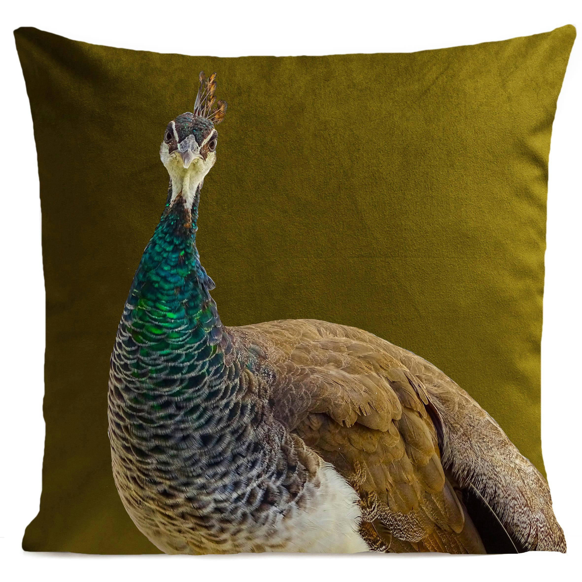 - Coussin campagne paon suédine vert 40x40cm