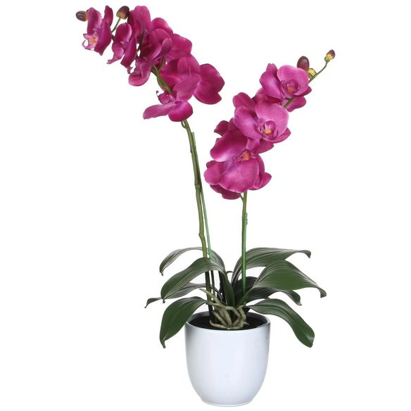 Kunstblume, Phalaenopsis Orchidee, violett