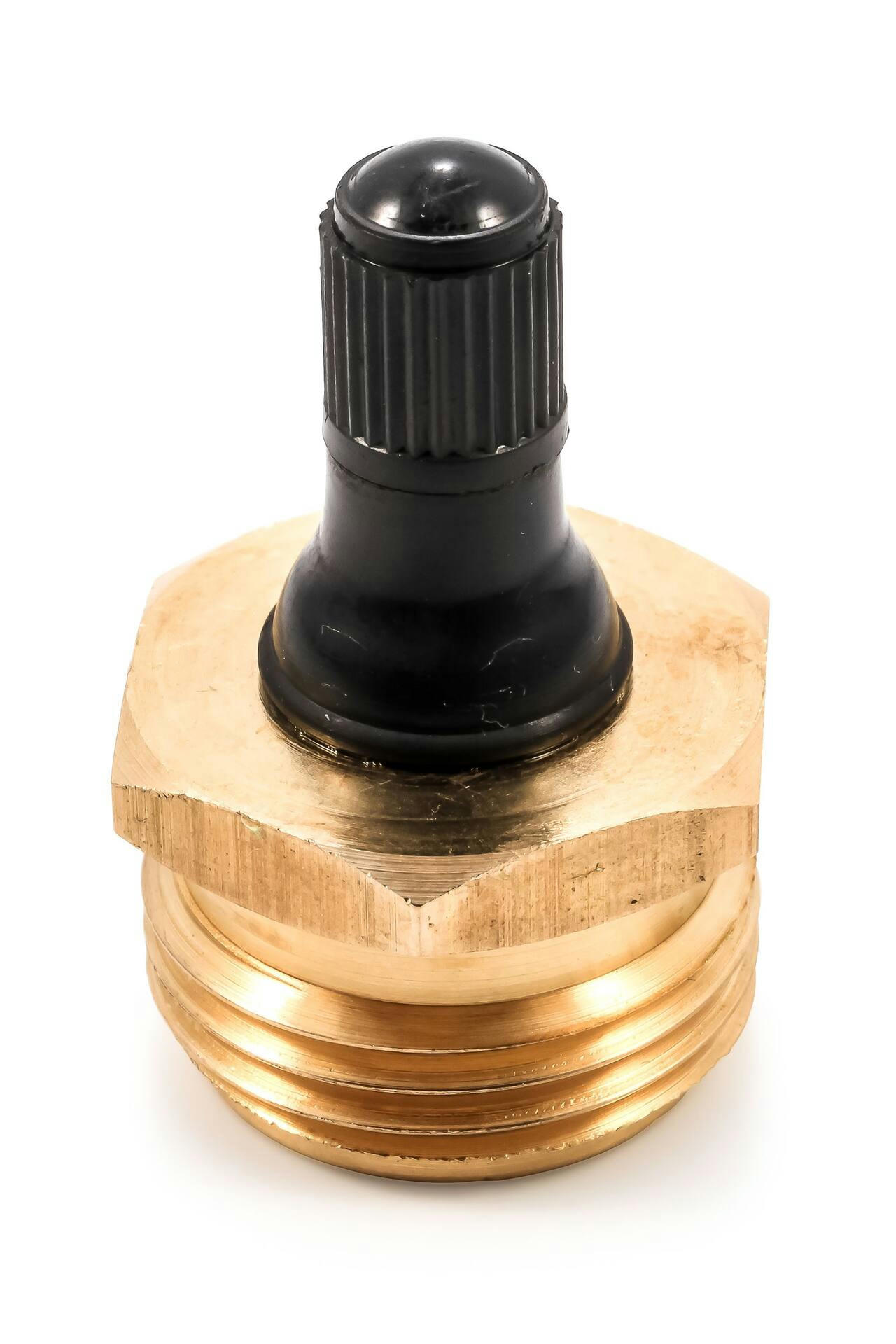 Camco Blow Out Plug with Schrader Valve, Brass