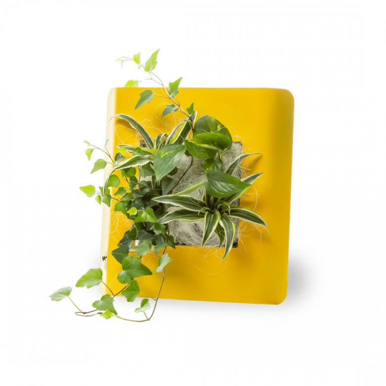 WallFlower - Tableau végétalisé S métal édition jaune 34x32cm