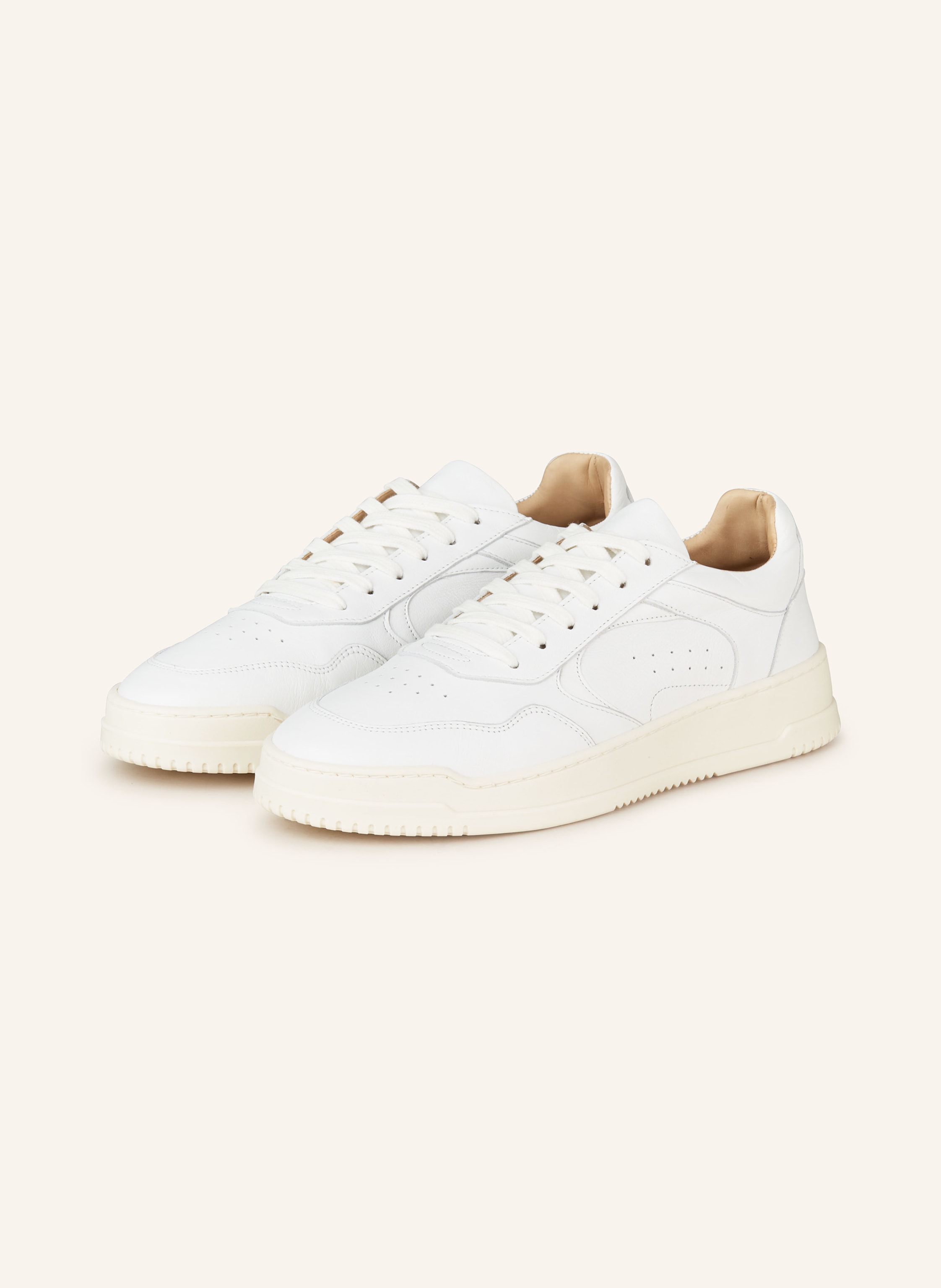 PAUL Sneaker