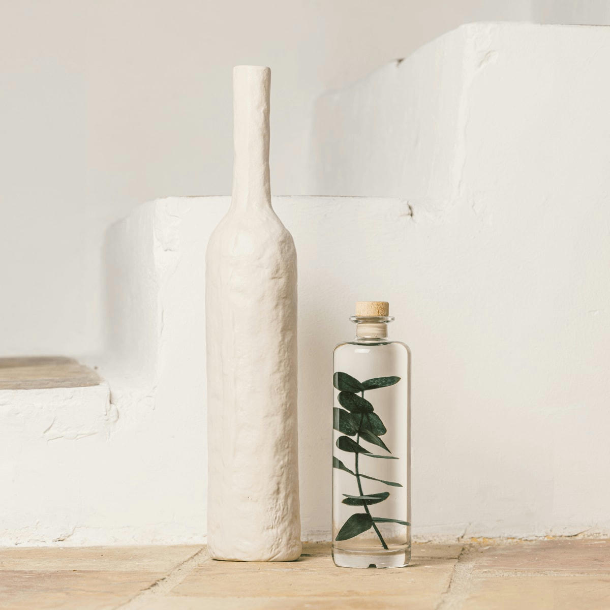 HERBARIUM DE THEOPHILE - Plante immergée Eucalyptus