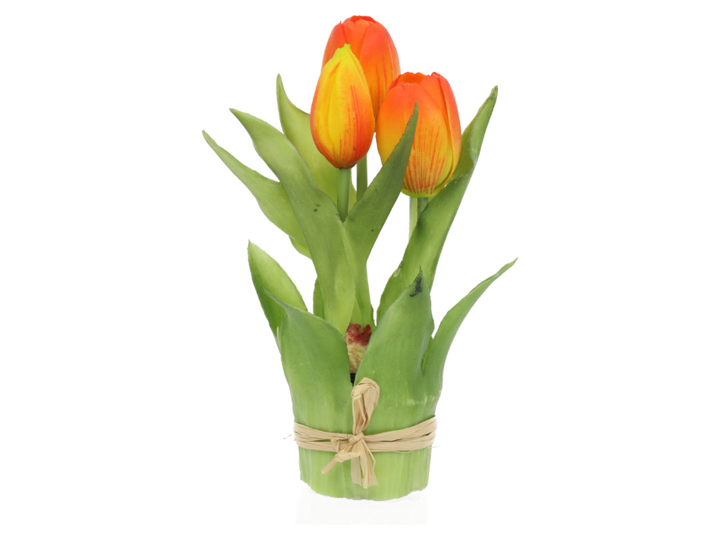 Tulipany w wiązce 20 cm 3 szt. gumowane pomarańczowe