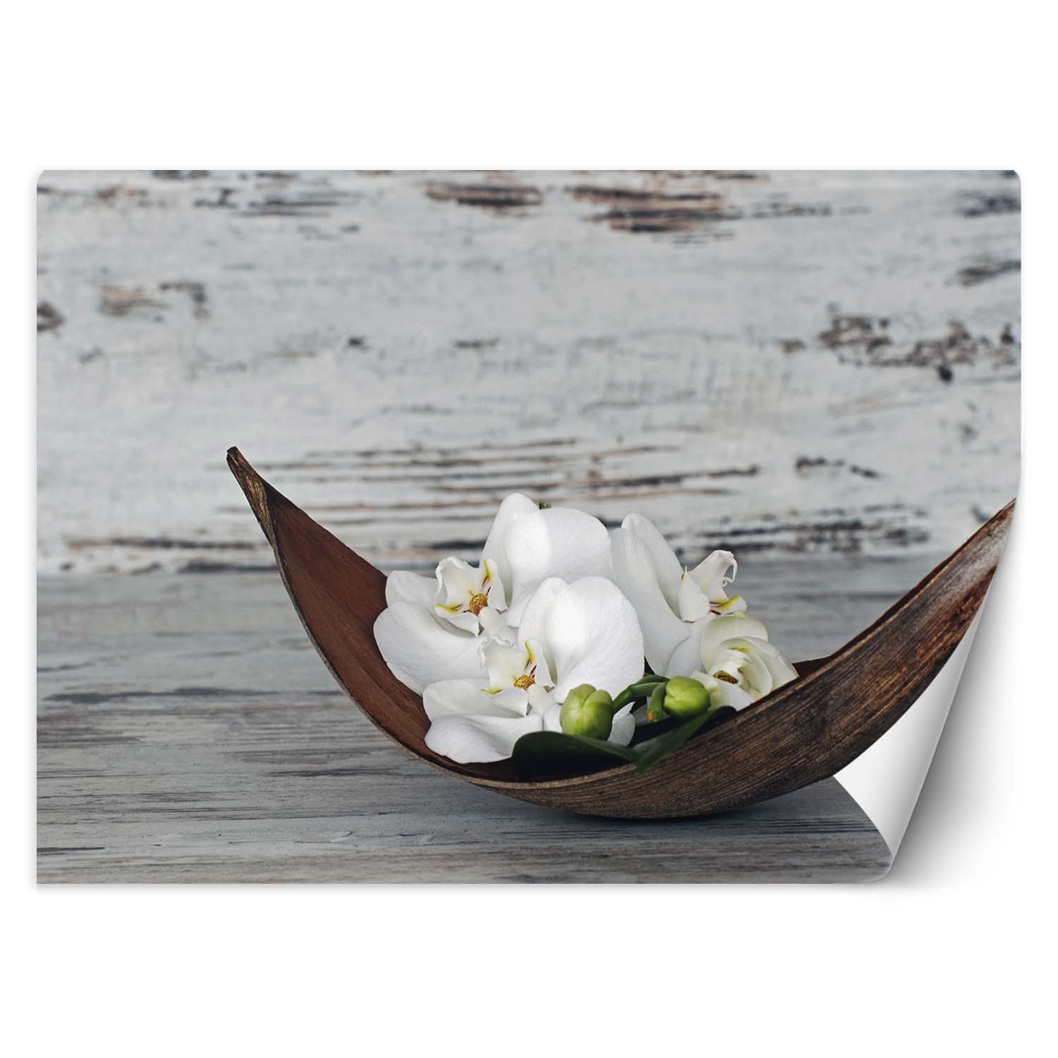 Feeby Fototapeta, Orchidea zen spa 150x105