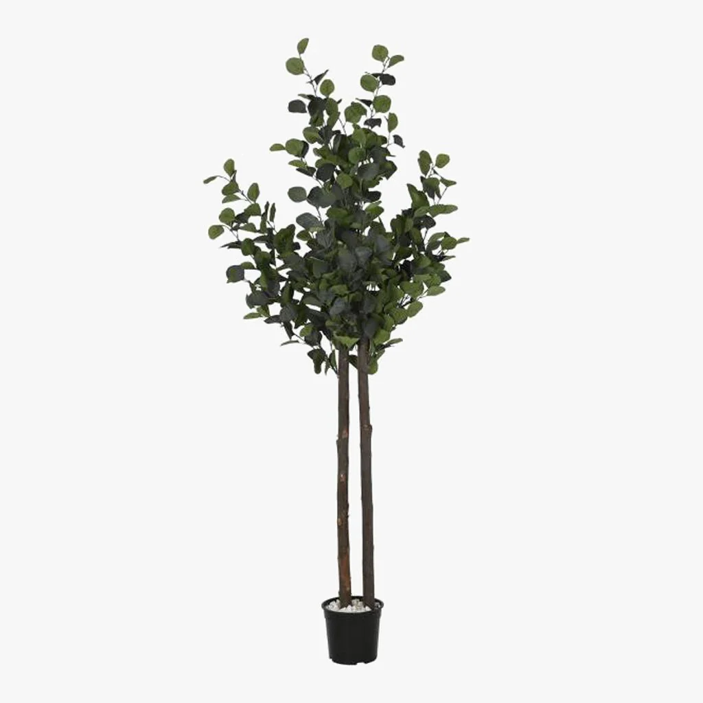 Árvore de Eucalipto 180cm EVERLEAF