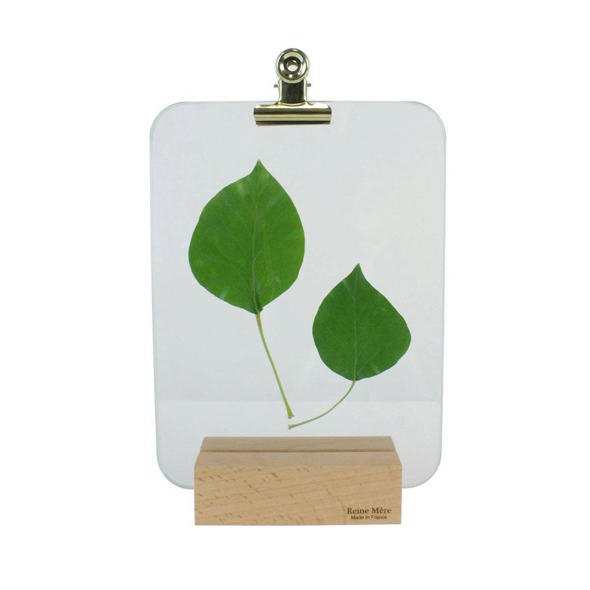 - Porte photo verrière pince dorée 21x15cm