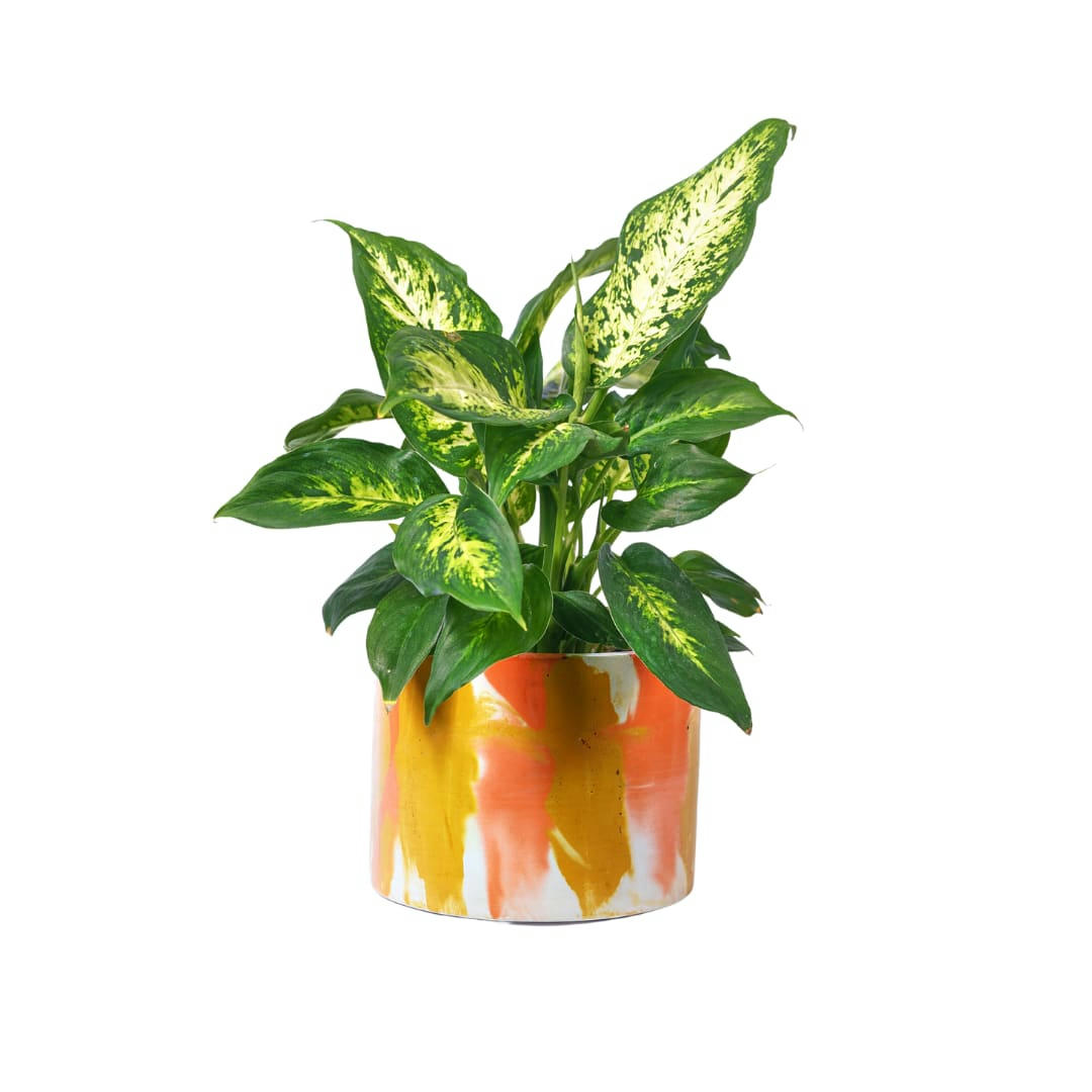 CACHE-POT XXL TIE&DYE - Cache-pot xxl tie&dye en béton orange et jaune