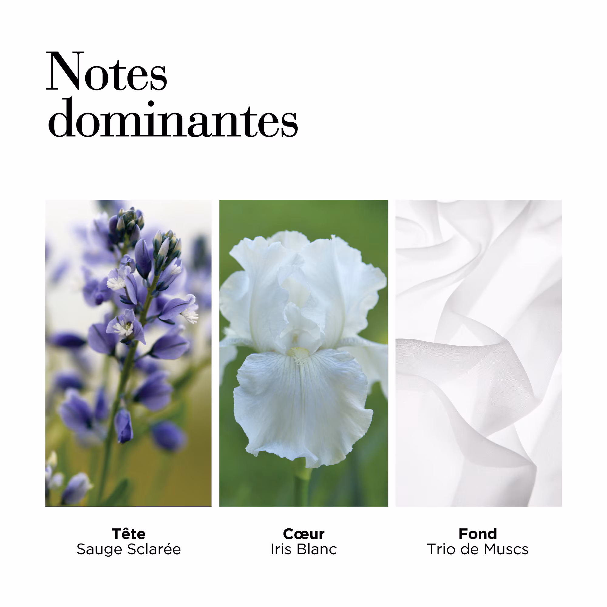 WHITE TEAGel pour le bain