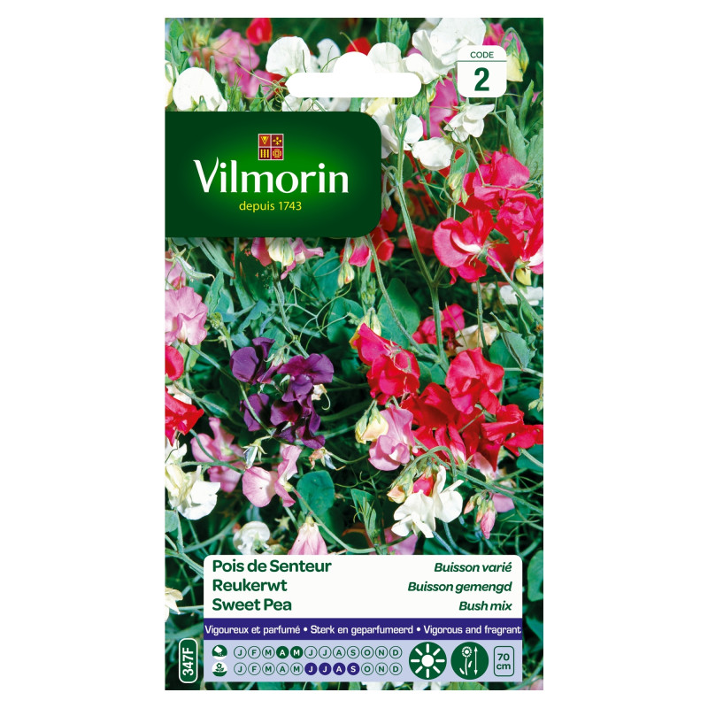Semences de pois de senteur Buisson varié VILMORIN