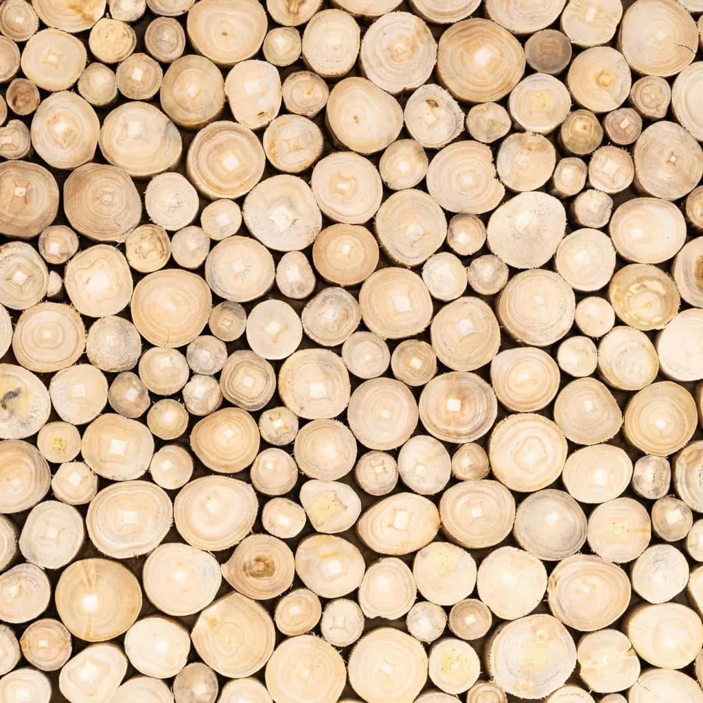 - Grande table basse ronde en rondin de bois teck