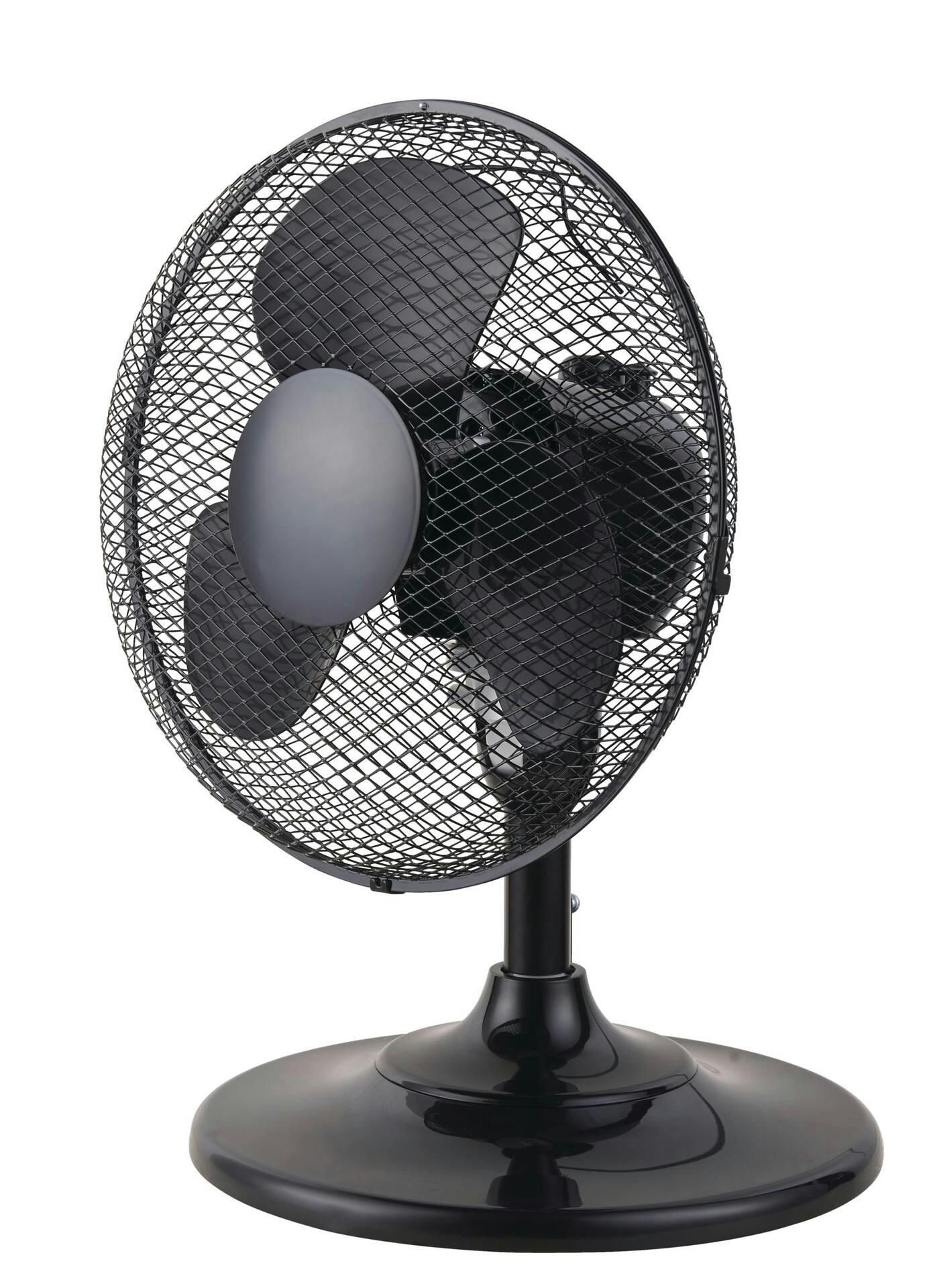 Hawaiian Breeze 2-in-1 Fan, 12-in