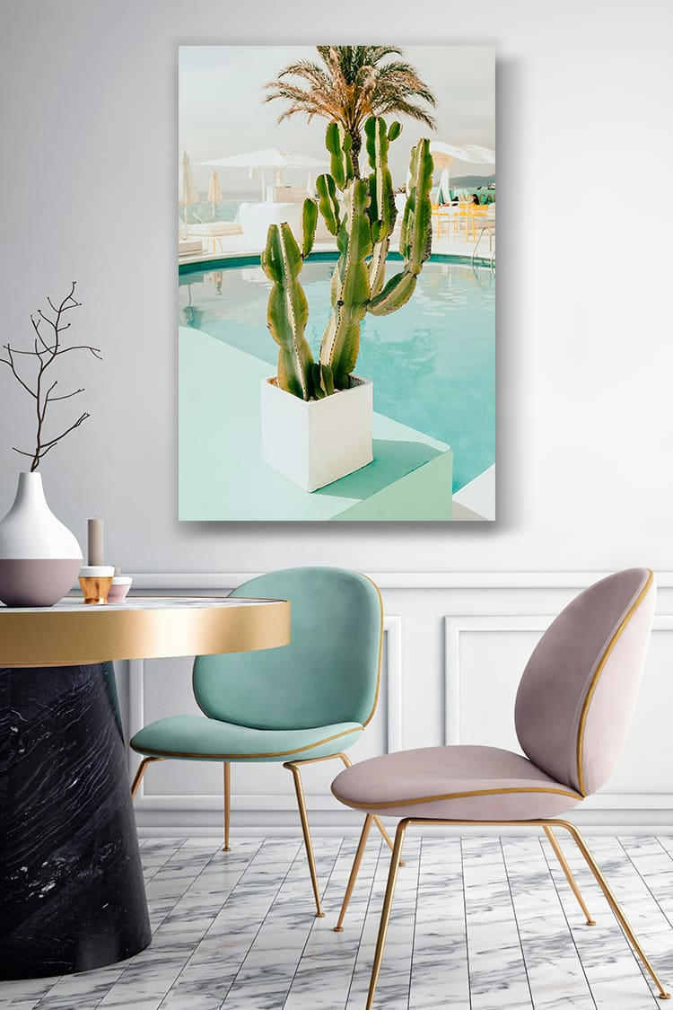 CACTUS - Photographie d'art d'Anthony Arbet 60x80 cm sur alu