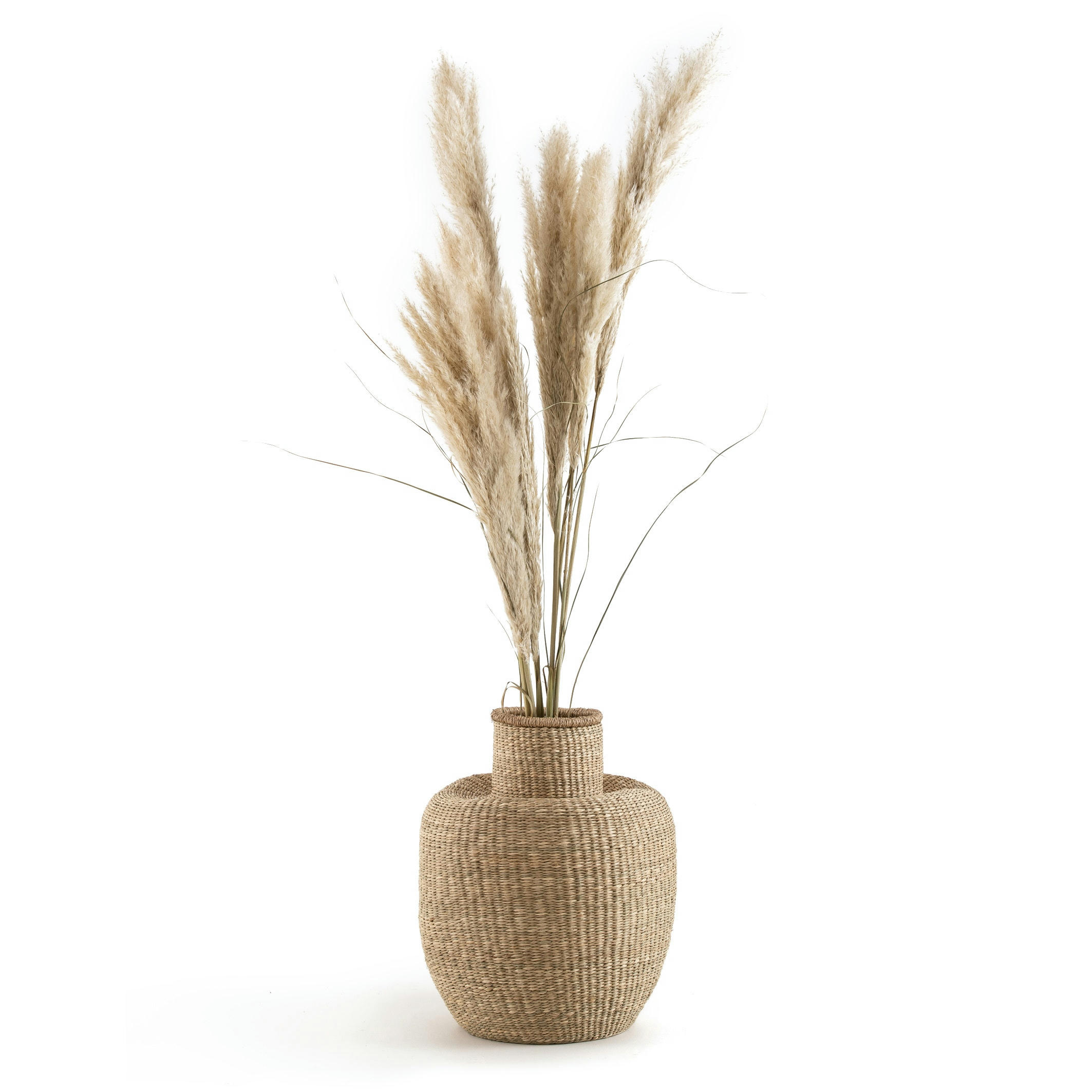 Jarre décorative en herbier H53 cm, Maylon