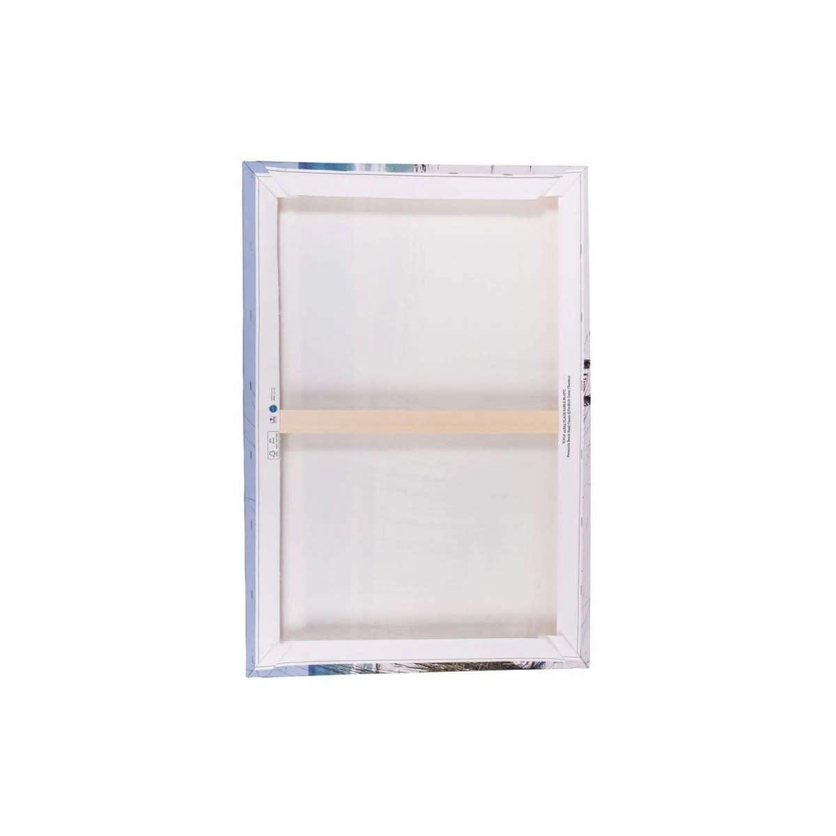 ILLUSTRATION - Tableau sur toile illustration palmiers 30x45 cm