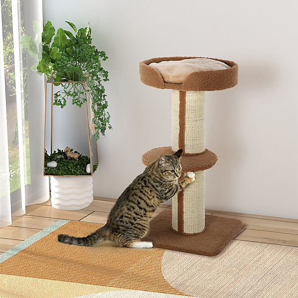Arbre à chat avec griffoir centre d'activités 2 plateformes coussin marron