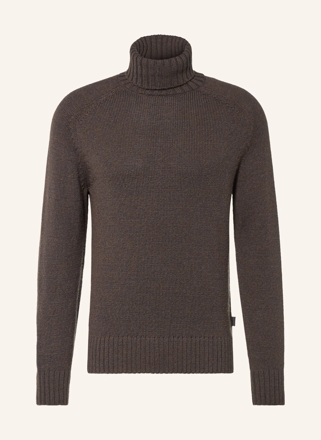 GANT Rollkragenpullover