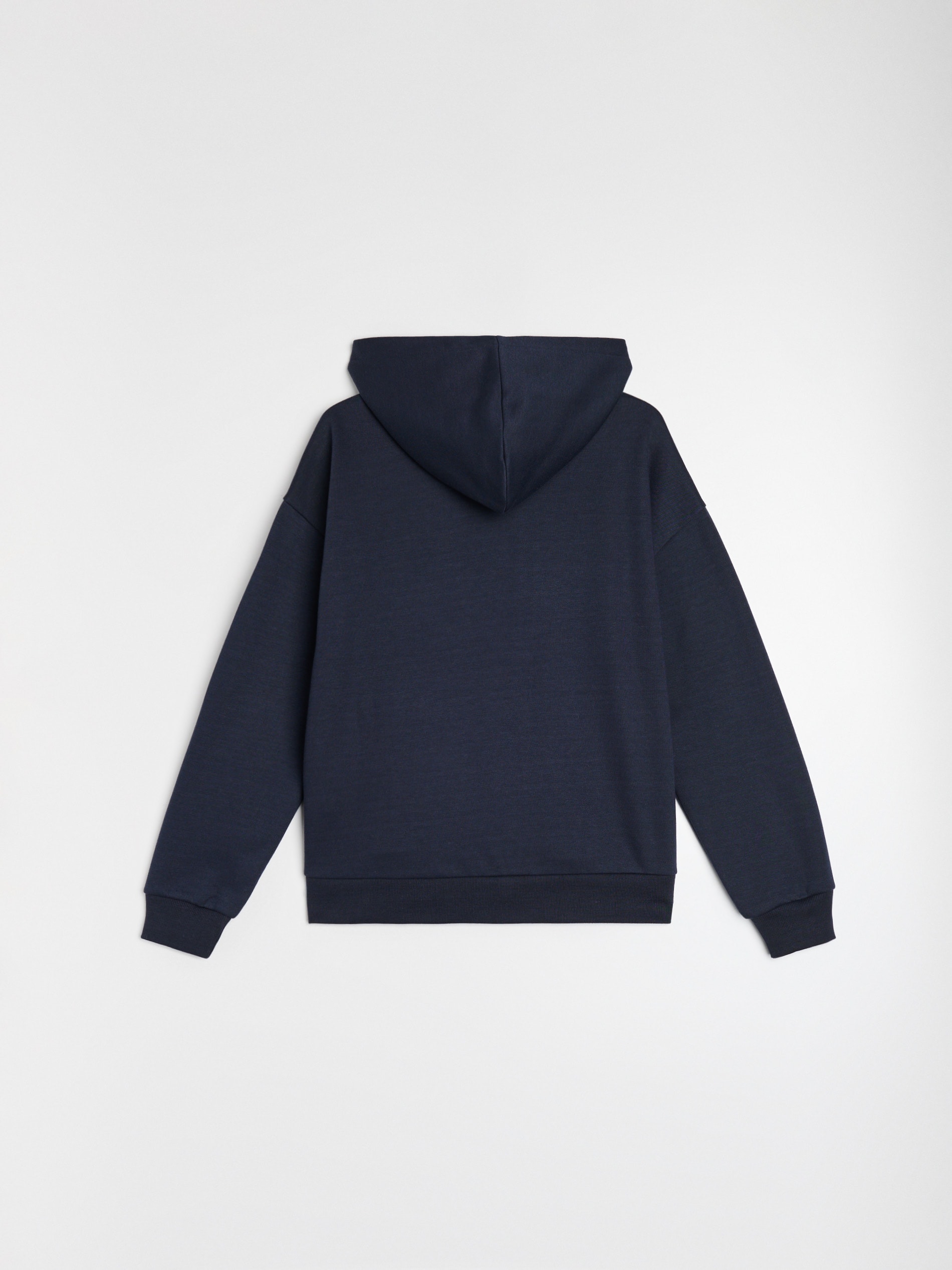 Bluza hoodie z napisem Michigan