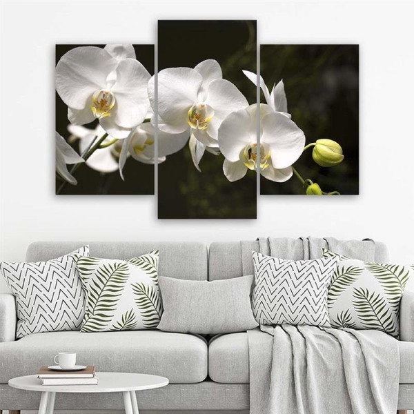 Feeby Obraz tryptyk na płótnie orchidea na czarnym tle 60x40