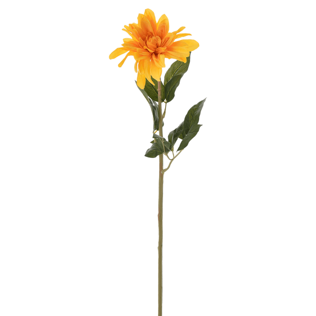 DHALIA FLOR SOLARIUM