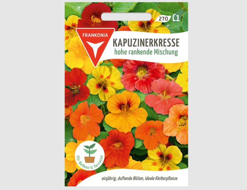 Kapuzinerkresse hohe rankende