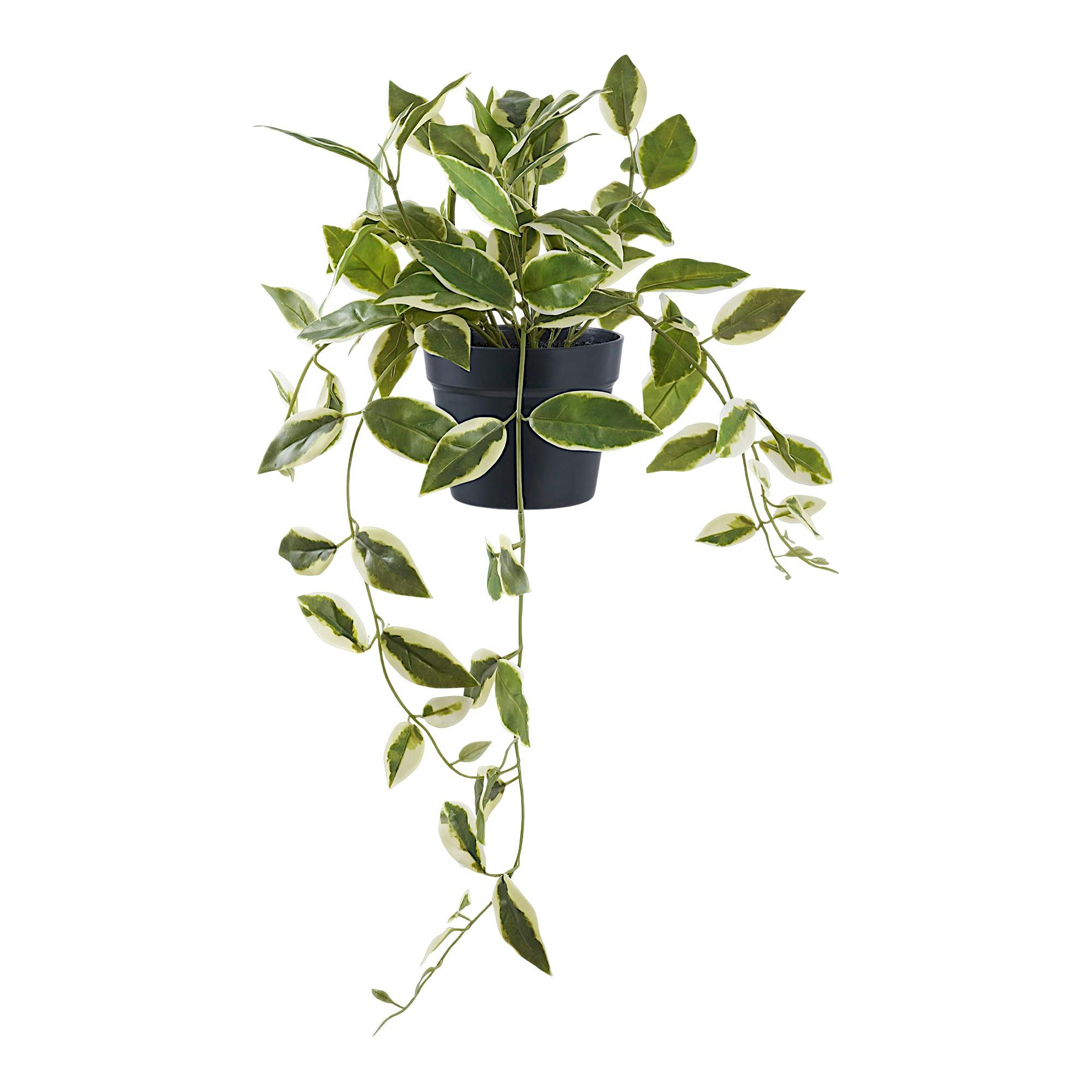 Plante artificielle hoya carnosa en pot