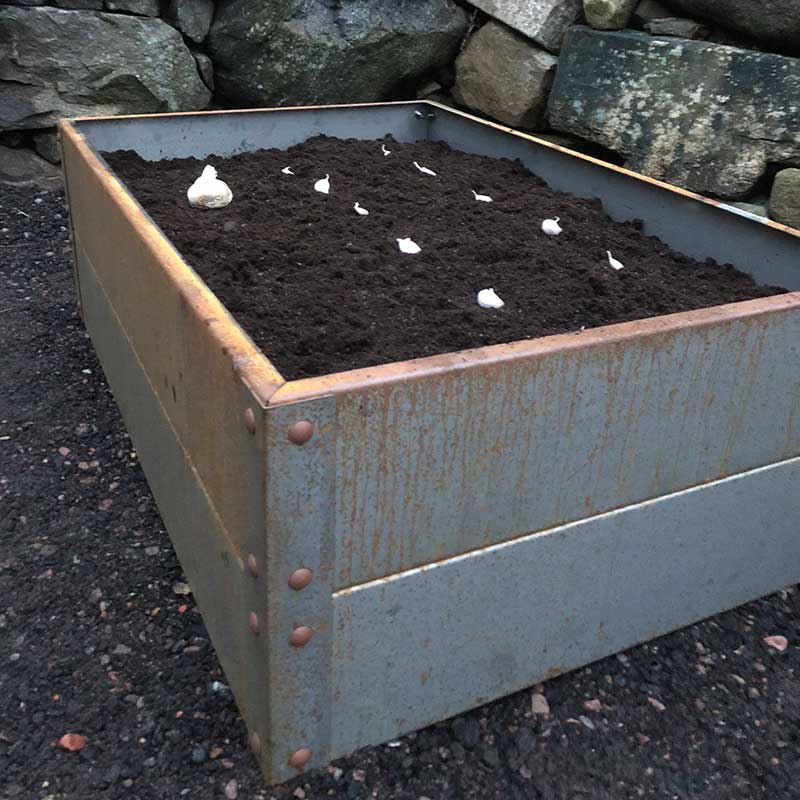 Odlingslåda cortenplåt 80x120x20 cm