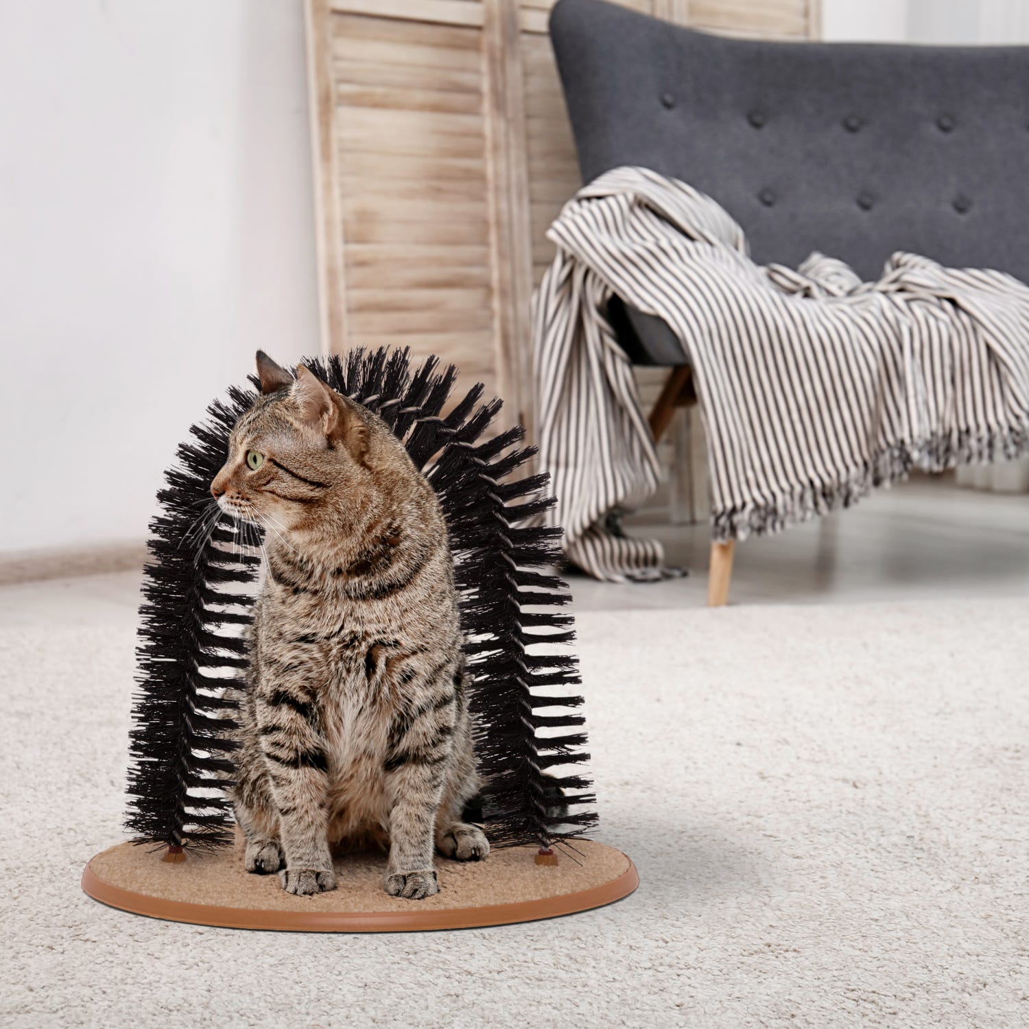Tiragraffi gatto con spazzola ad arco dmail