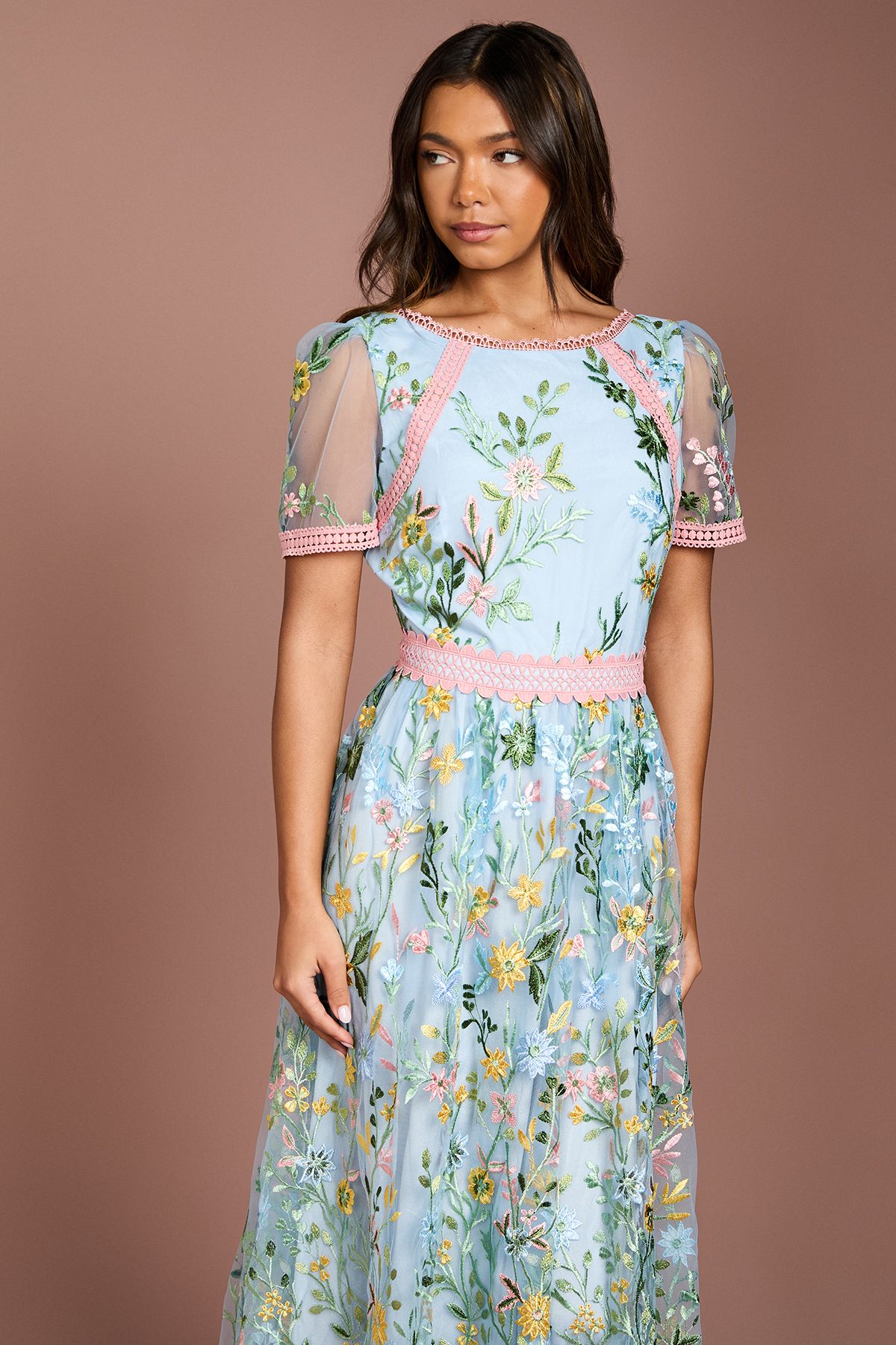 Coast Lace Trim Detail Embroidered Mesh Midi Dress
