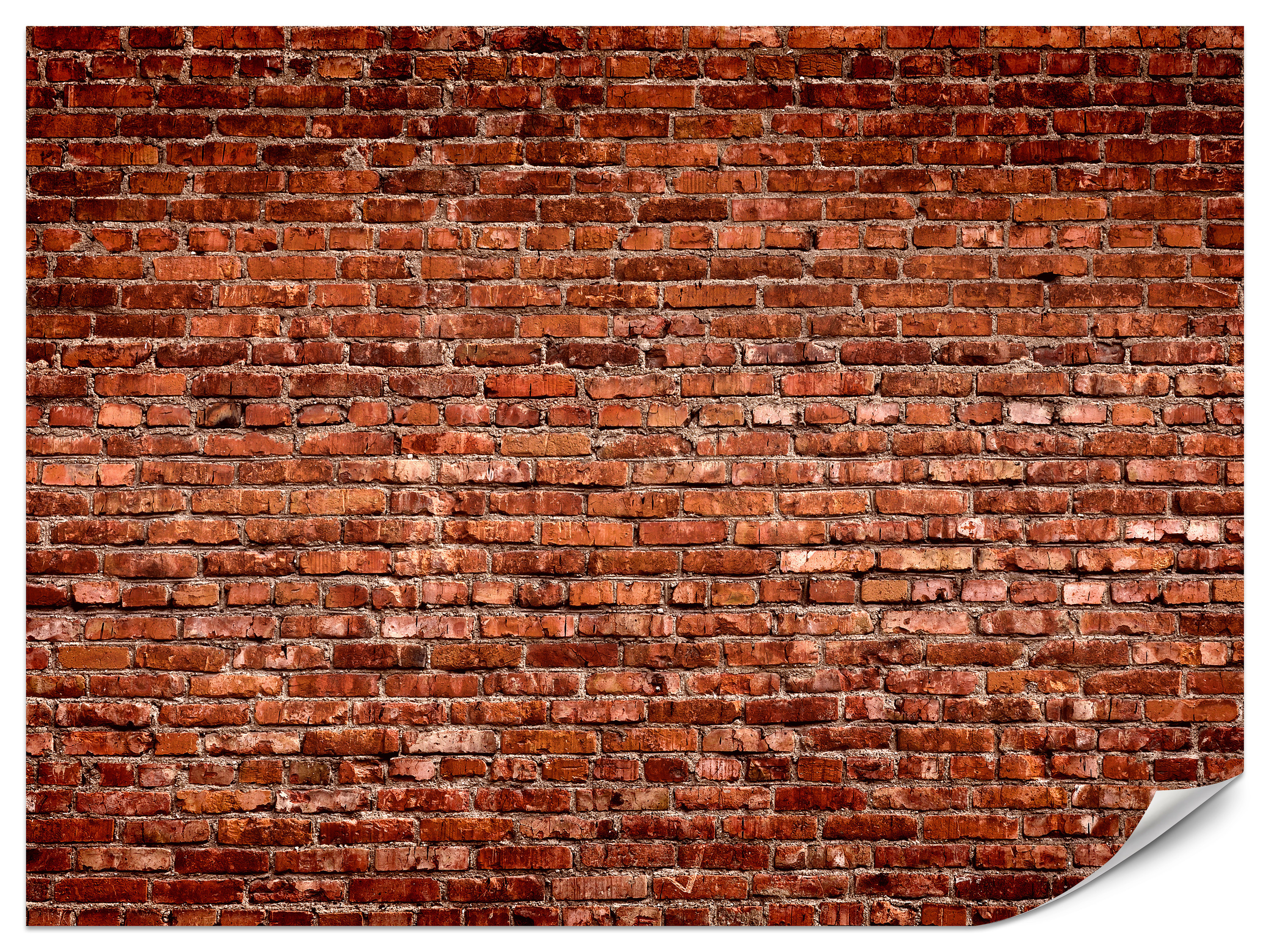 Fototapeta Ceglana ściana 400x280cm