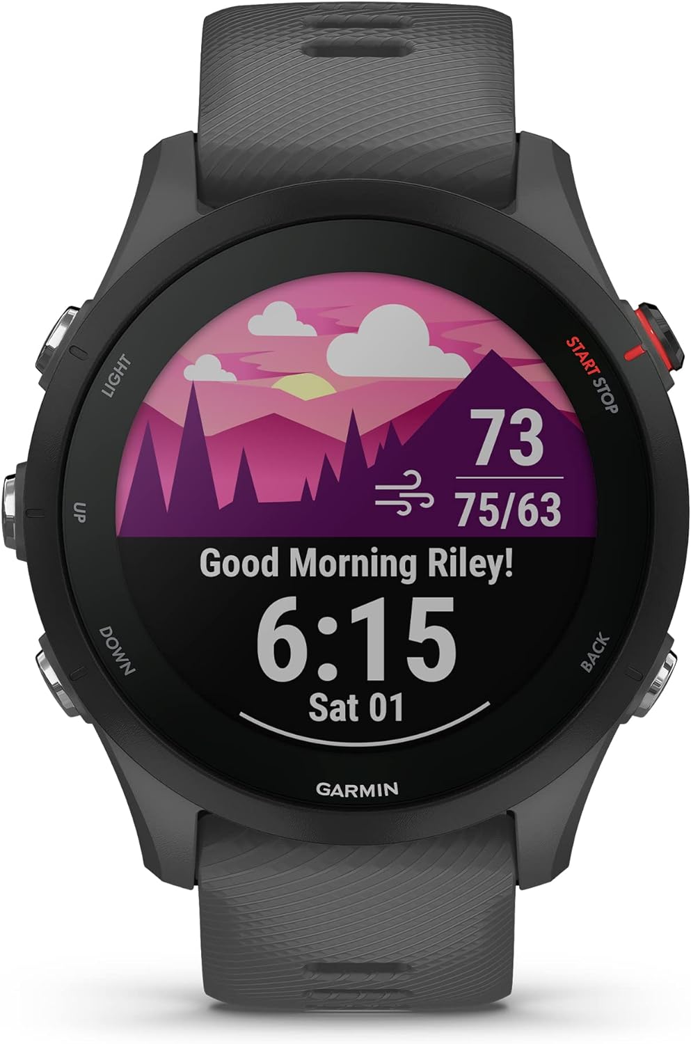 Garmin Forerunner® 255  GPS Running Smartwatch  Advanced Insights  Long-Lasting Battery  Slate Gray