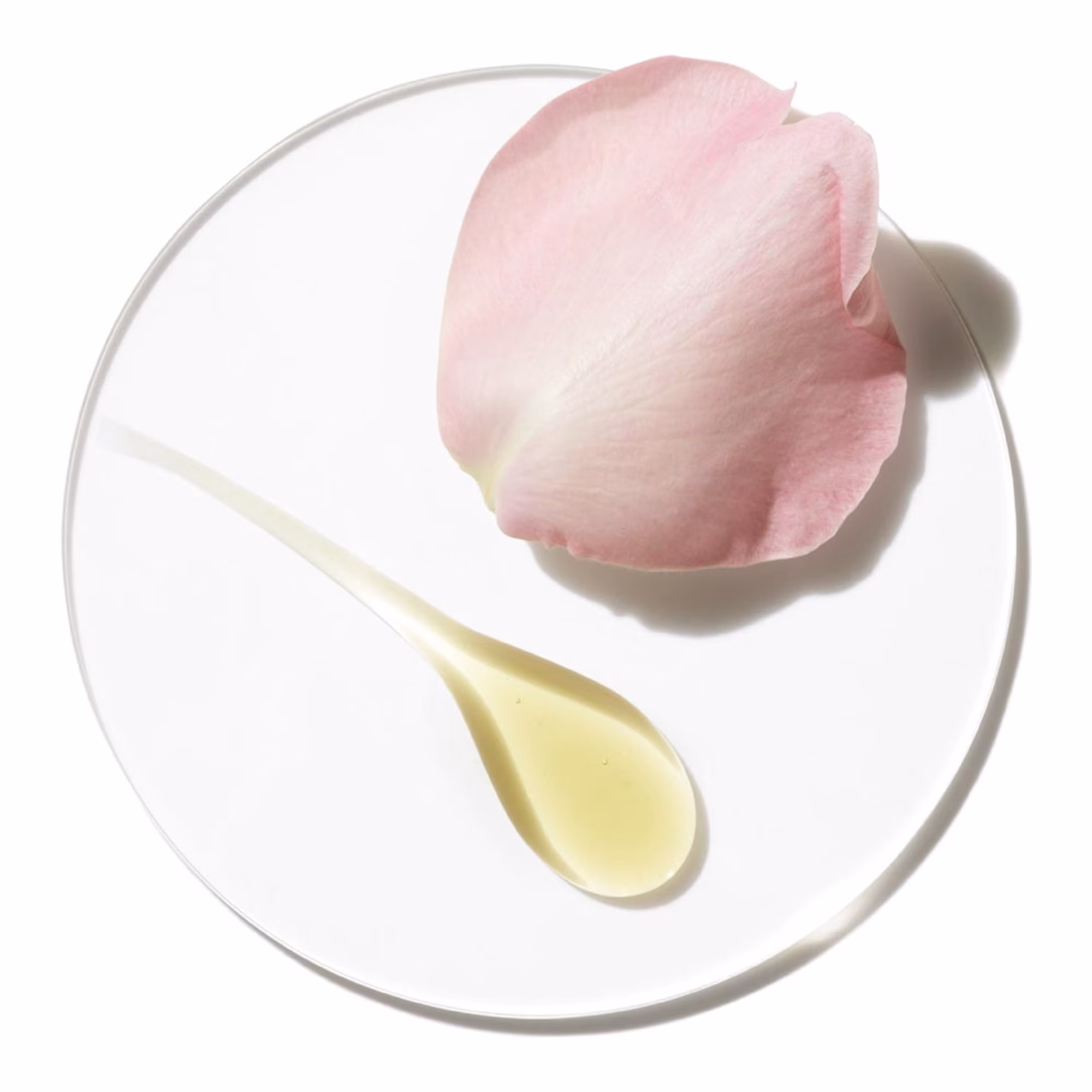AROMATICS ELIXIREau de parfum vaporisateur