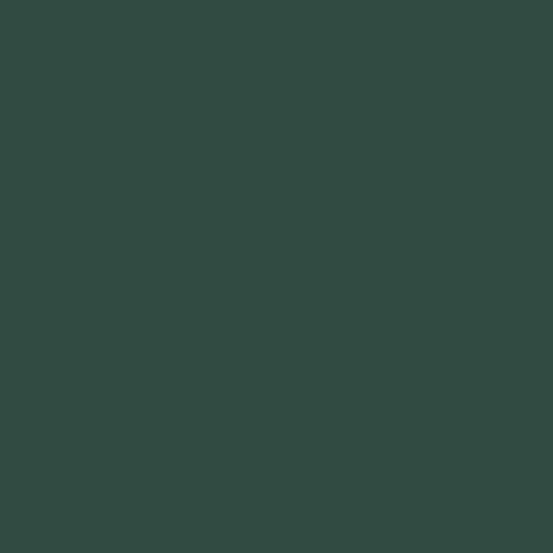 Laque Easy Colours vert basque satiné 0,4 L V33