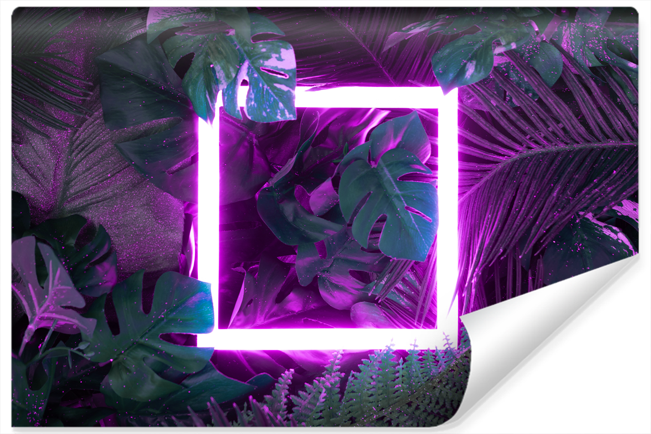Fototapeta Kolorowy KWADRAT Urban Jungle 90x60cm