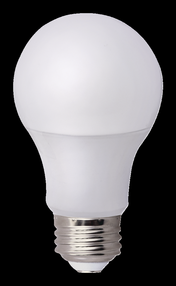 NOMA A19 E26 Base Household Dimmable LED Light Bulbs, 1600 Lumens, Warm White, 100W, 2-pk