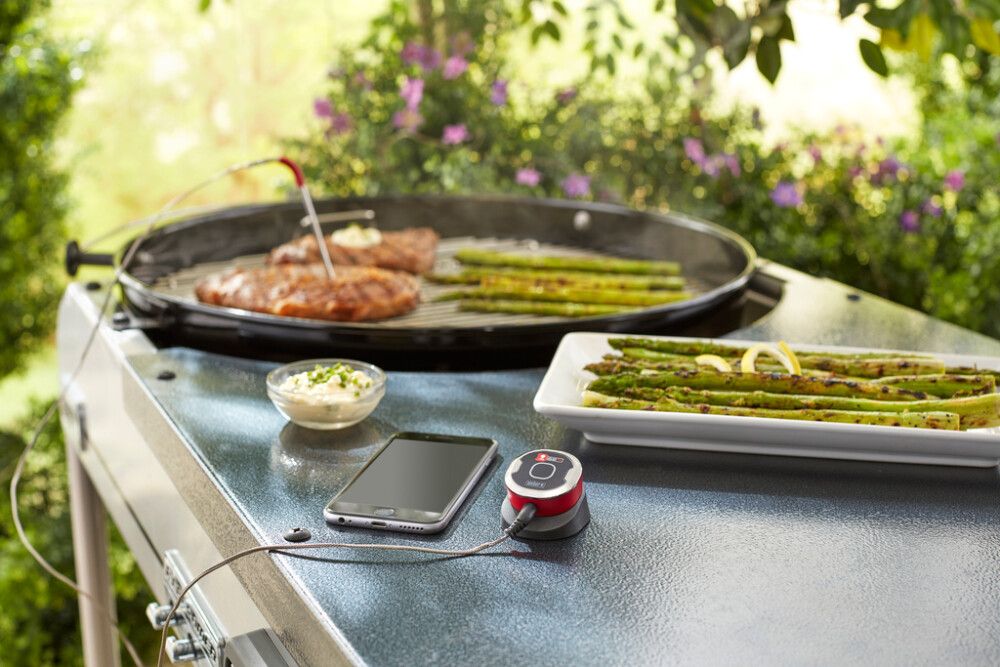 STEKETERMOMETER WEBER IGRILL MINI