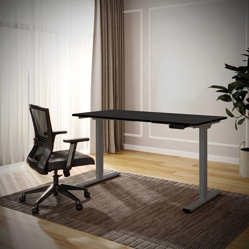 Electric Dual Motor Standing Desk, Adjustable 55x28-inch Workstation
