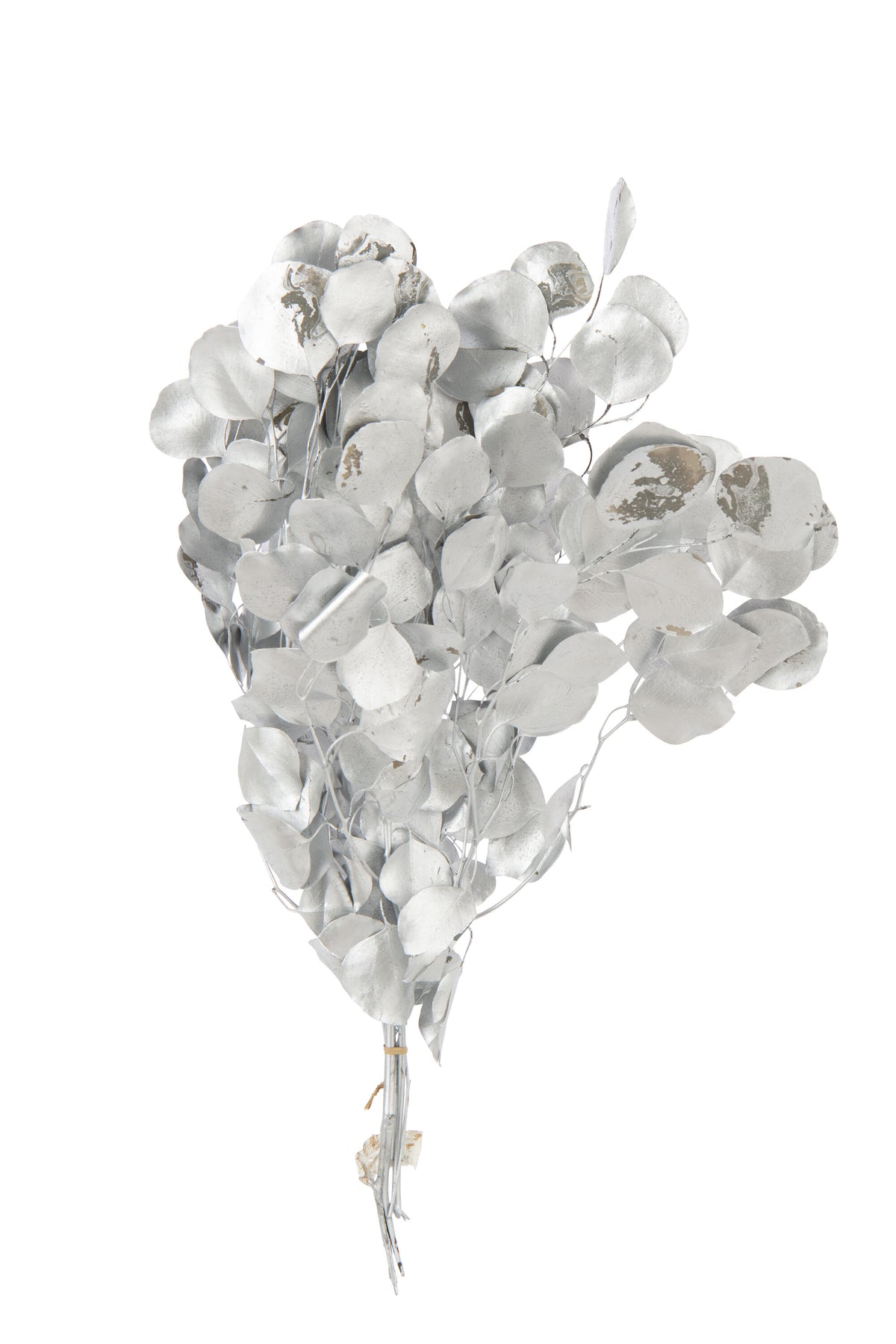 J-Line droogbloemen Eucalyptus - riet - zilver
