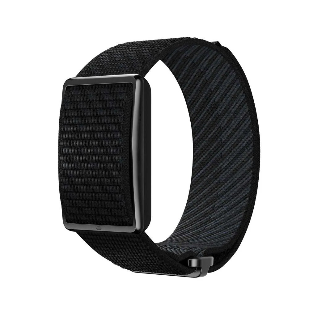 Polar Loop activity band