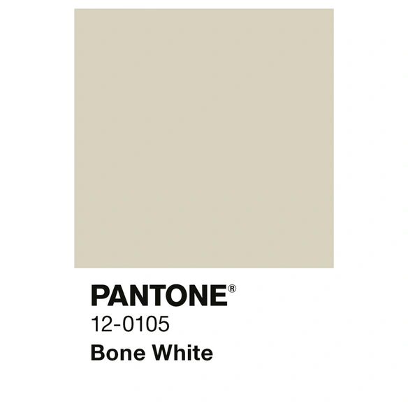 Wandfarbe »PANTONE«, Bone White, matt, 2,5 l