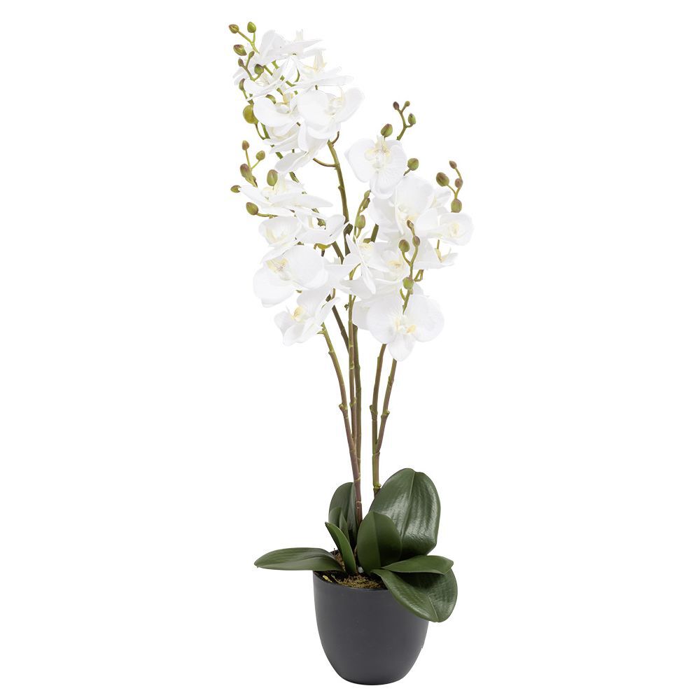 Orchidée artificielle blanc Ø40xH70cm