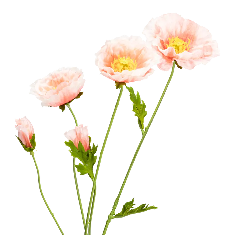 Kunstblume Flora