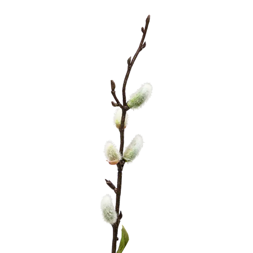 Dekozweig Easter